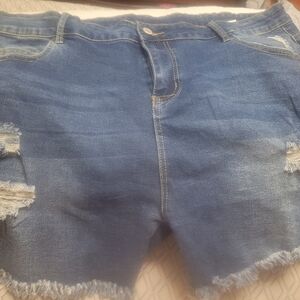 Women's shorts
